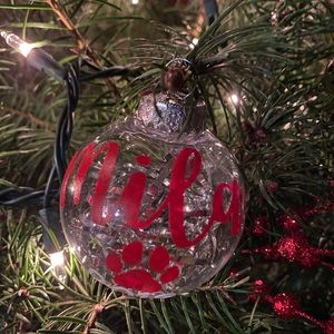 Meet your Posher, Patricia